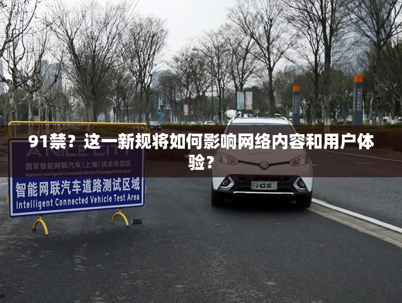 91禁？这一新规将如何影响网络内容和用户体验？