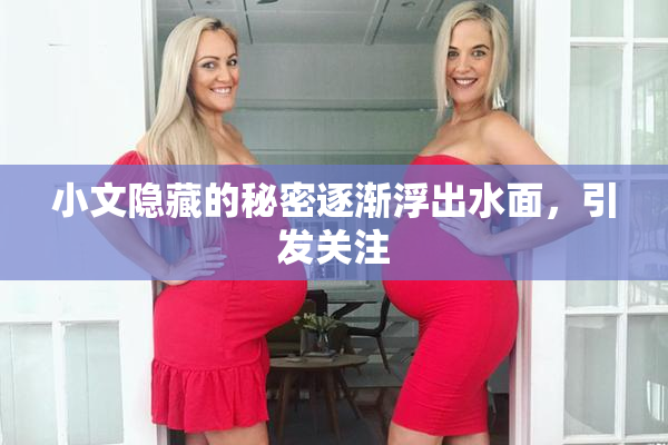 小文隐藏的秘密逐渐浮出水面，引发关注