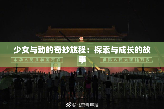 少女与动的奇妙旅程：探索与成长的故事