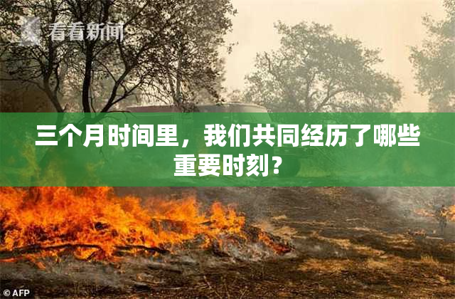 三个月时间里，我们共同经历了哪些重要时刻？