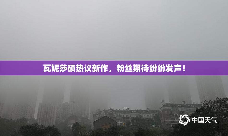 瓦妮莎硕热议新作，粉丝期待纷纷发声！