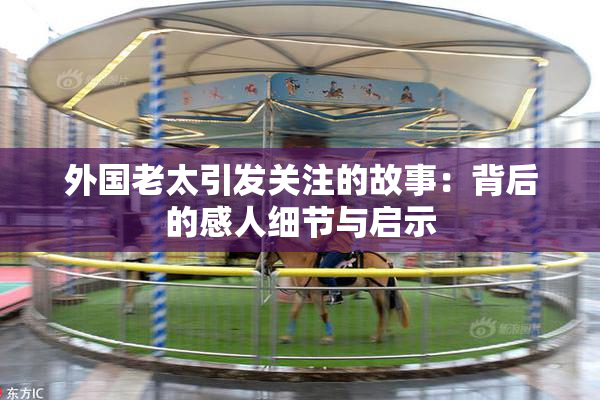 外国老太引发关注的故事：背后的感人细节与启示