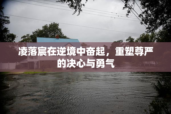 凌落宸在逆境中奋起，重塑尊严的决心与勇气