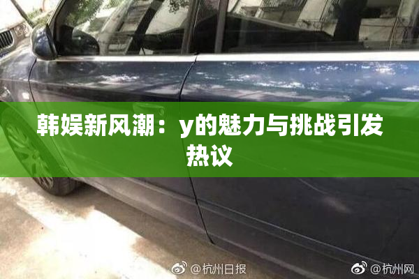 韩娱新风潮：y的魅力与挑战引发热议