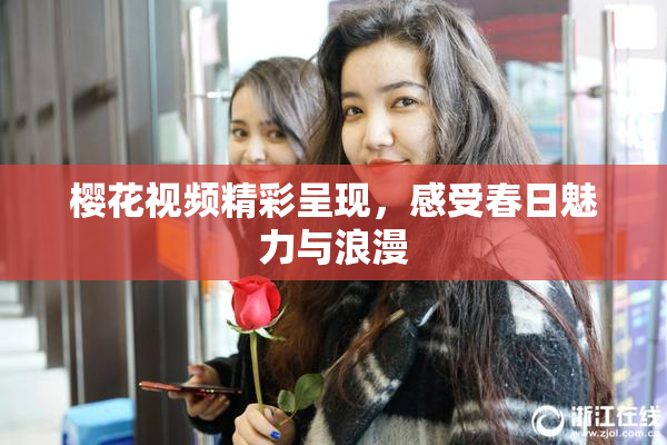 樱花视频精彩呈现，感受春日魅力与浪漫
