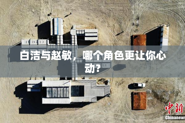 白洁与赵敏，哪个角色更让你心动？