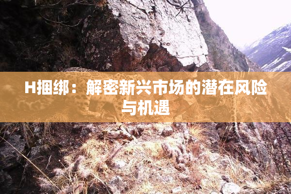 H捆绑：解密新兴市场的潜在风险与机遇