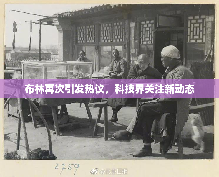 布林再次引发热议，科技界关注新动态