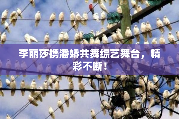 李丽莎携潘娇共舞综艺舞台，精彩不断！