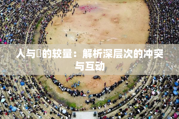 人与嘼的较量：解析深层次的冲突与互动