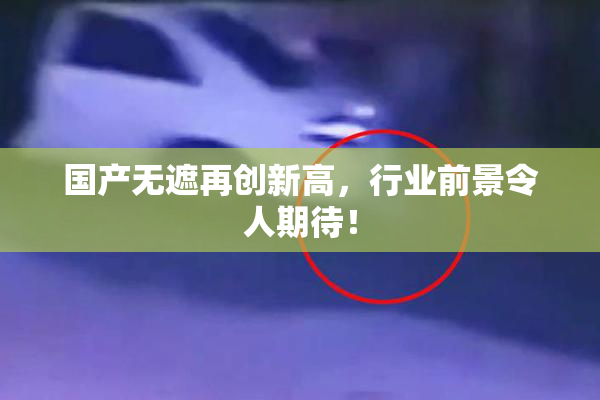 国产无遮再创新高，行业前景令人期待！
