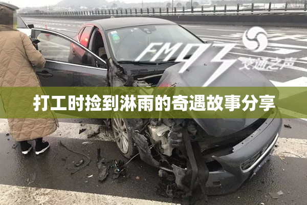 打工时捡到淋雨的奇遇故事分享