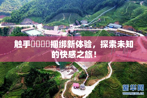 触手❌‌❌‌捆绑新体验，探索未知的快感之旅！
