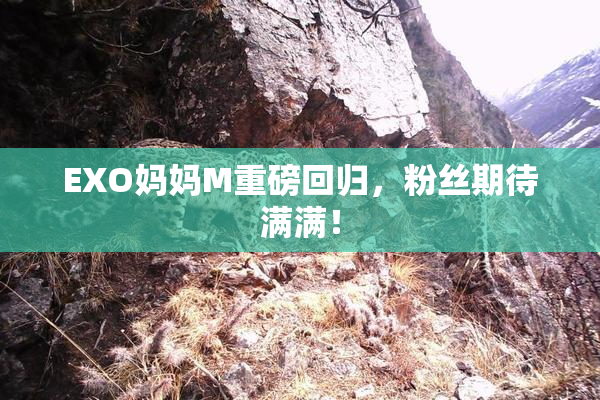 EXO妈妈M重磅回归，粉丝期待满满！