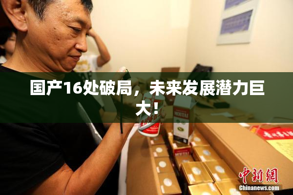 国产16处破局，未来发展潜力巨大！