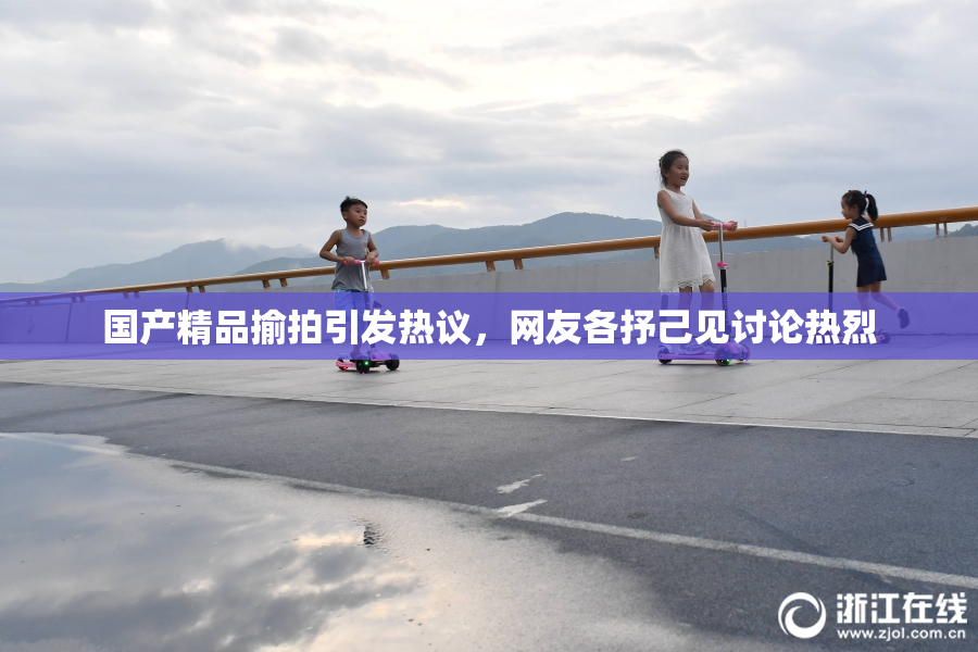 国产精品揄拍引发热议，网友各抒己见讨论热烈