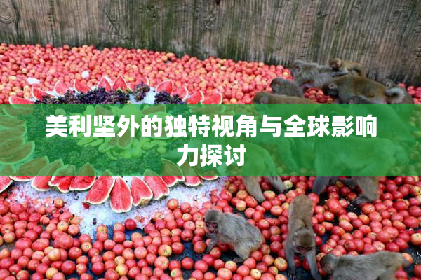 美利坚外的独特视角与全球影响力探讨