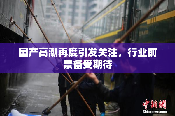 国产高潮再度引发关注，行业前景备受期待