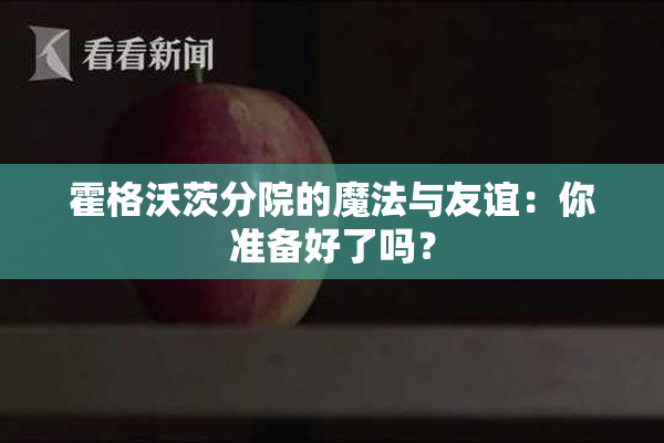 霍格沃茨分院的魔法与友谊：你准备好了吗？