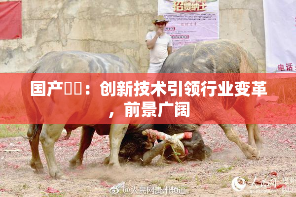 国产梱綁：创新技术引领行业变革，前景广阔