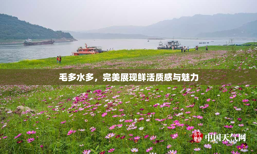 毛多水多，完美展现鲜活质感与魅力