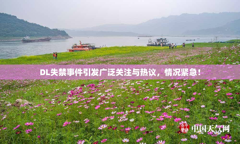 DL失禁事件引发广泛关注与热议，情况紧急！