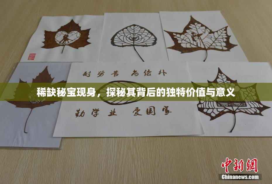 稀缺秘宝现身，探秘其背后的独特价值与意义
