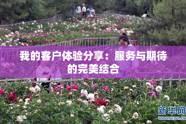 我的客户体验分享：服务与期待的完美结合