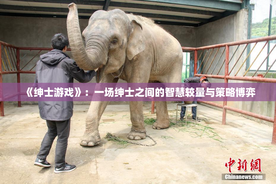 《绅士游戏》：一场绅士之间的智慧较量与策略博弈