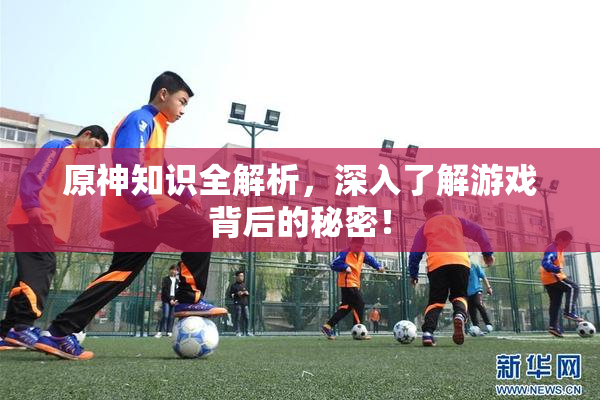 原神知识全解析，深入了解游戏背后的秘密！
