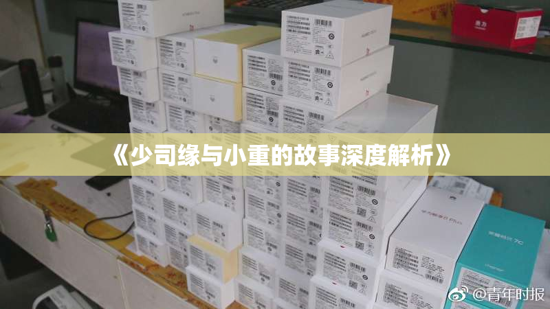 《少司缘与小重的故事深度解析》