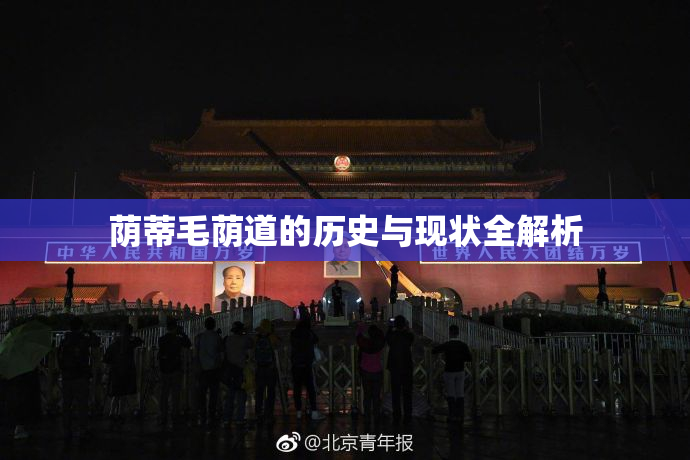 荫蒂毛荫道的历史与现状全解析