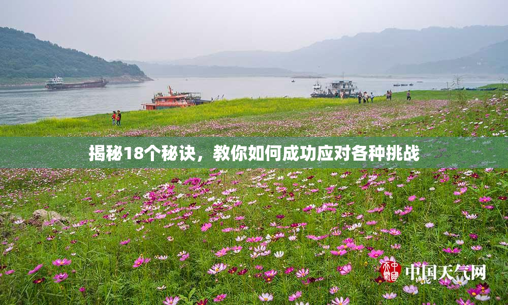 揭秘18个秘诀，教你如何成功应对各种挑战