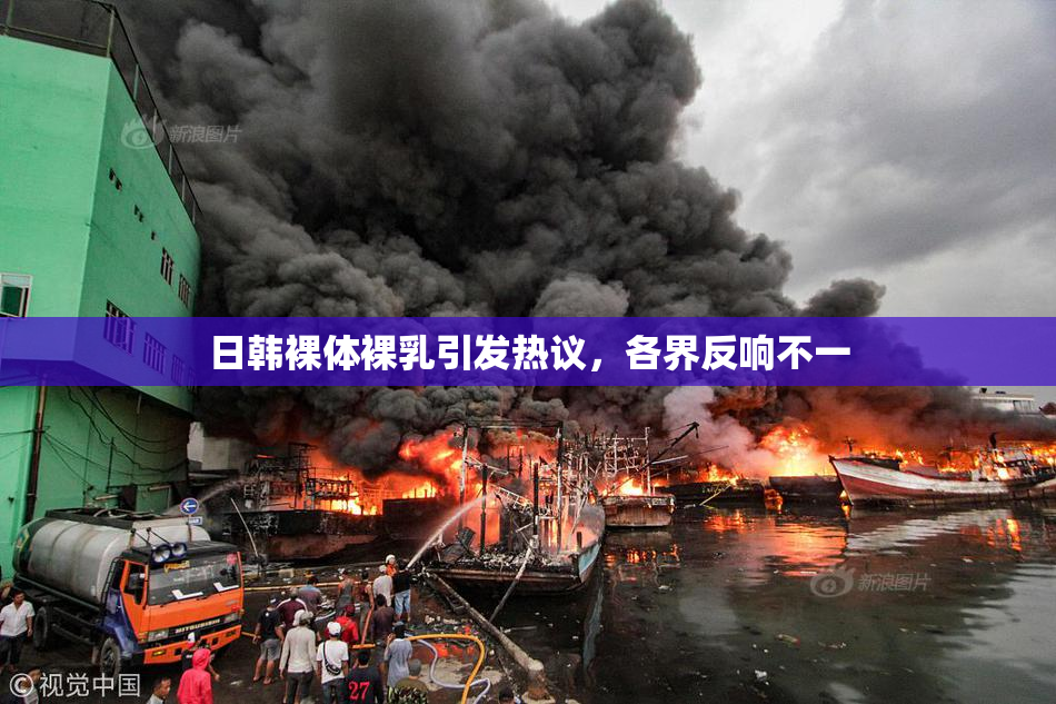 日韩裸体裸乳引发热议，各界反响不一
