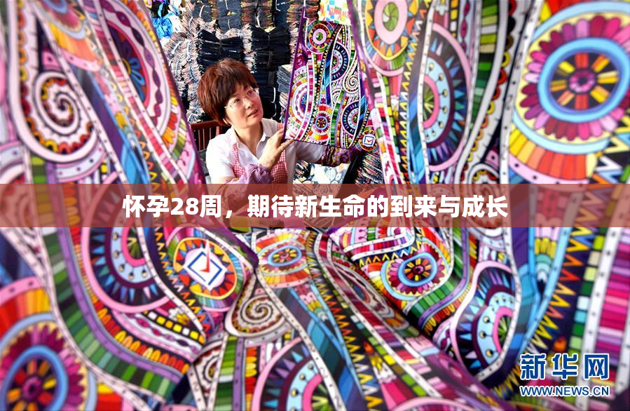 怀孕28周，期待新生命的到来与成长