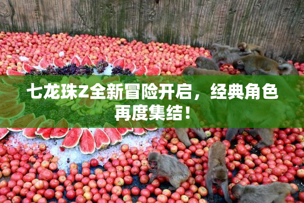 七龙珠Z全新冒险开启，经典角色再度集结！