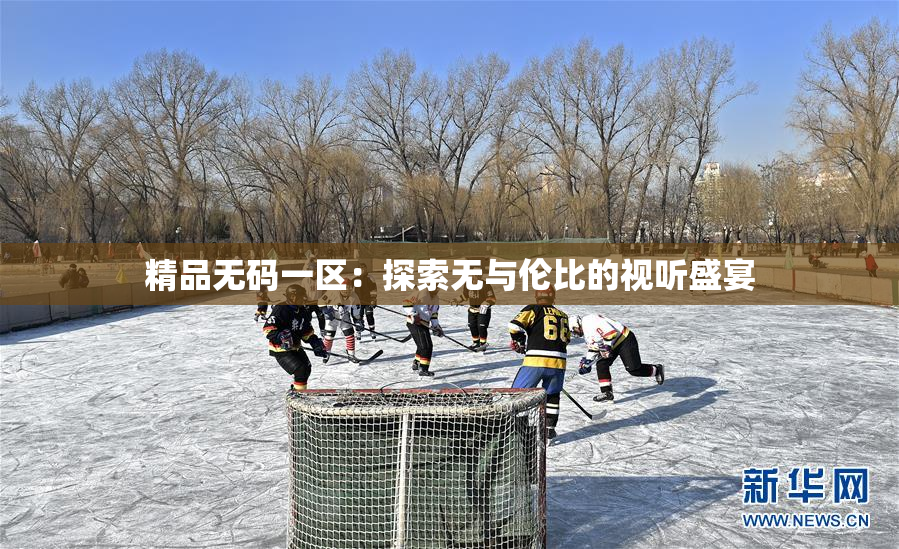 精品无码一区：探索无与伦比的视听盛宴