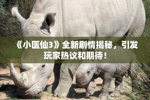 《小医仙3》全新剧情揭秘，引发玩家热议和期待！