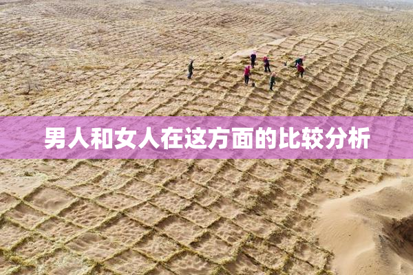 男人和女人在这方面的比较分析