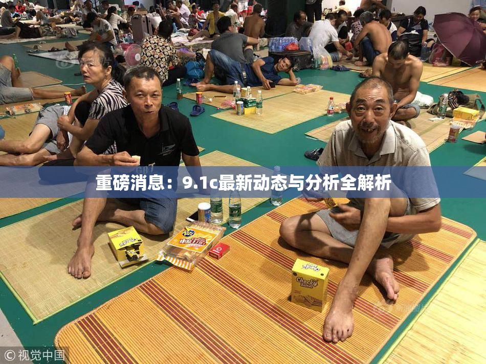 重磅消息：9.1c最新动态与分析全解析