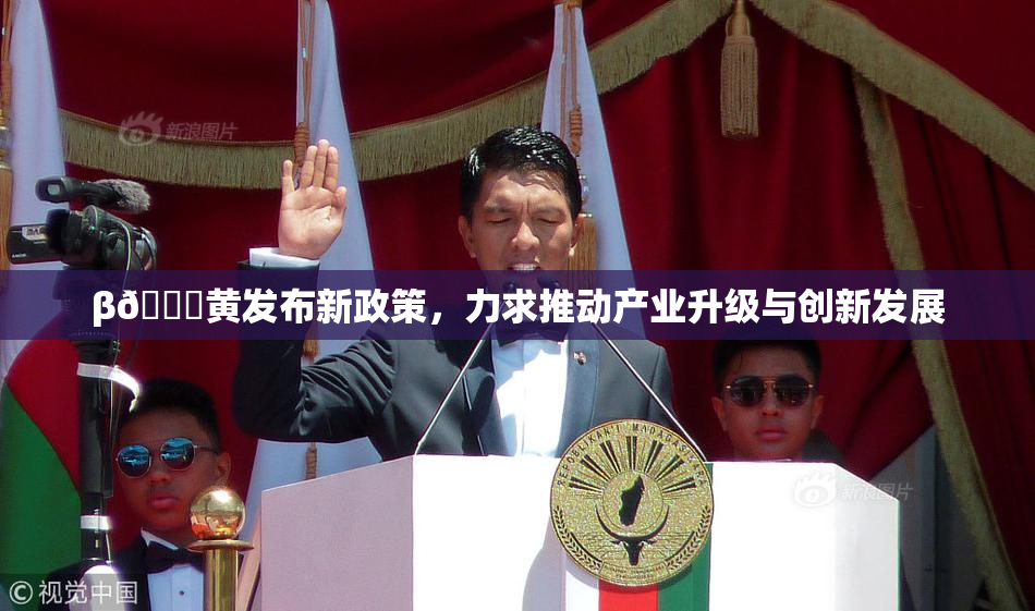 β🔞黄发布新政策，力求推动产业升级与创新发展