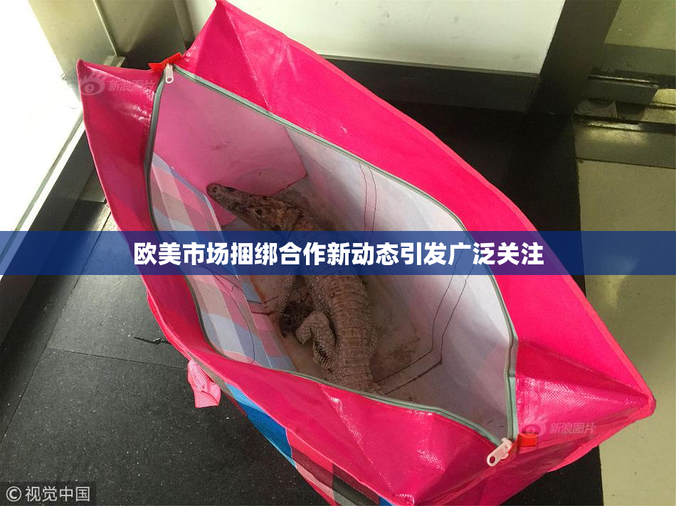 欧美市场捆绑合作新动态引发广泛关注