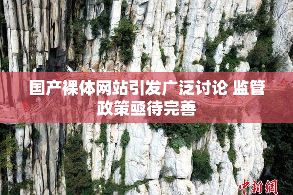 国产裸体网站引发广泛讨论 监管政策亟待完善