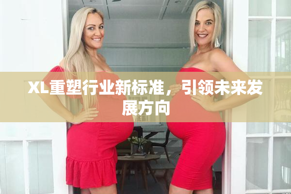 XL重塑行业新标准，引领未来发展方向