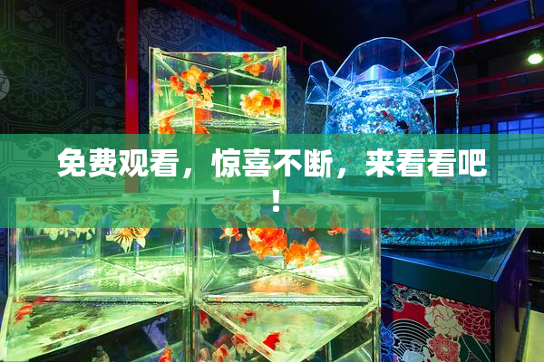 免费观看，惊喜不断，来看看吧！