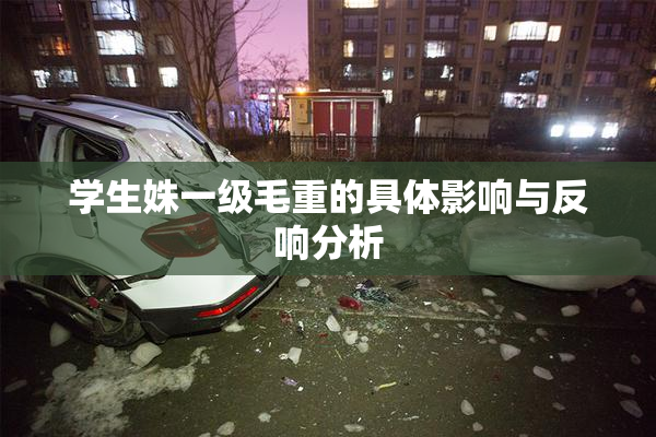 学生姝一级毛重的具体影响与反响分析