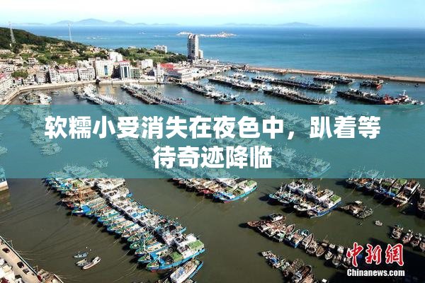软糯小受消失在夜色中，趴着等待奇迹降临