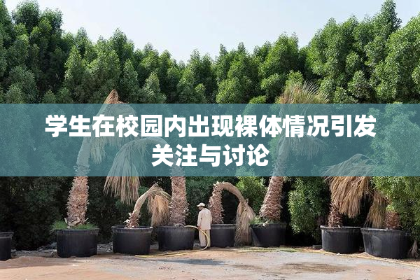 学生在校园内出现裸体情况引发关注与讨论