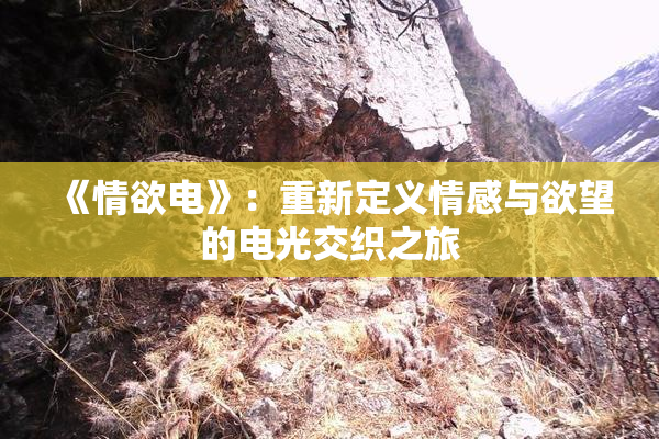 《情欲电》：重新定义情感与欲望的电光交织之旅