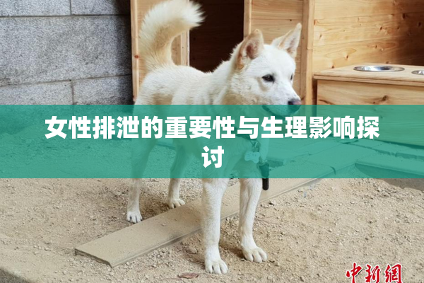 女性排泄的重要性与生理影响探讨